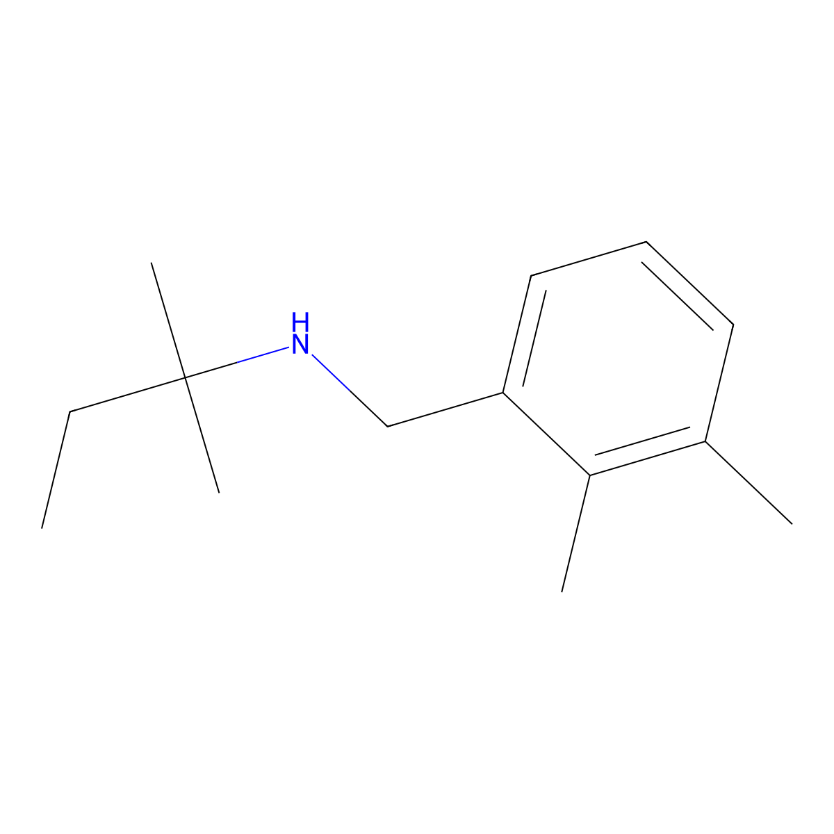 [(2,3-Dimethylphenyl)methyl](2-methylbutan-2-yl)amine molecular structure, CAS 1249208-73-8