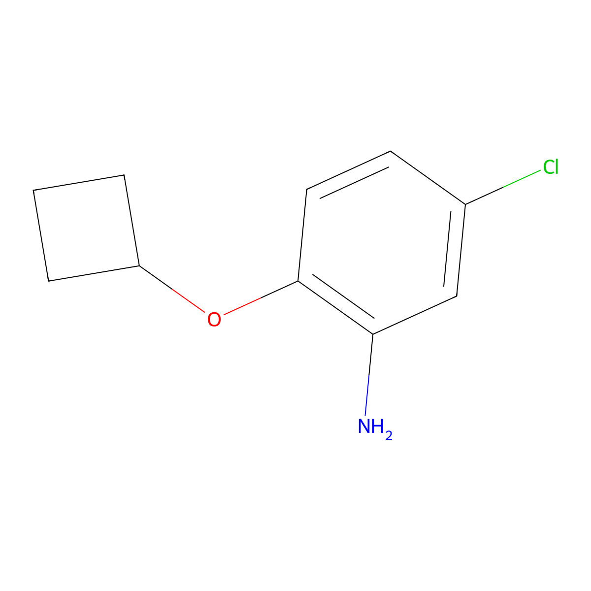 5-Chloro-2-cyclobutoxyaniline molecular structure, CAS 1249300-28-4