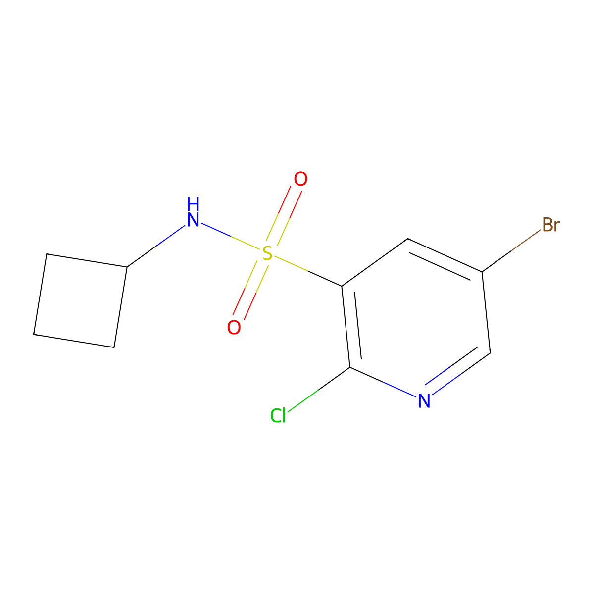 5-Bromo-2-chloro-N-cyclobutylpyridine-3-sulfonamide molecular structure, CAS 1249439-24-4