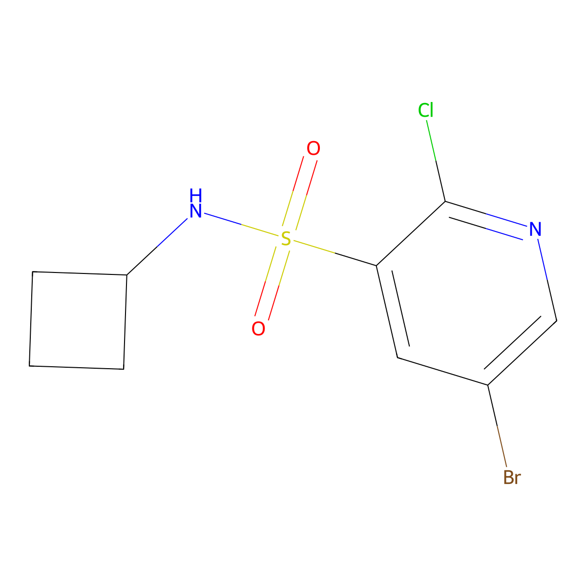 5-Bromo-2-chloro-N-cyclobutylpyridine-3-sulfonamide molecular structure, CAS 1249439-24-4