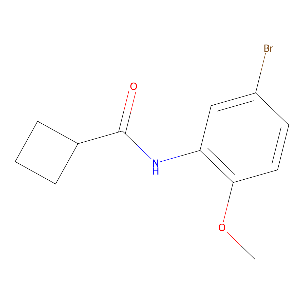 N-(5-bromo-2-methoxyphenyl)cyclobutanecarboxamide molecular structure, CAS 1249441-25-5