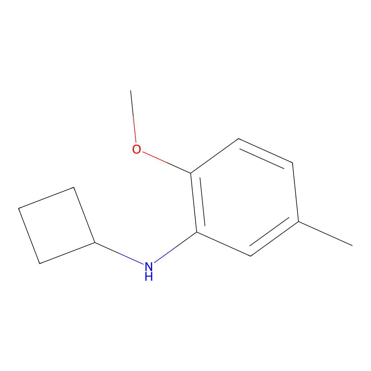 N-cyclobutyl-2-methoxy-5-methylaniline molecular structure, CAS 1249503-10-3