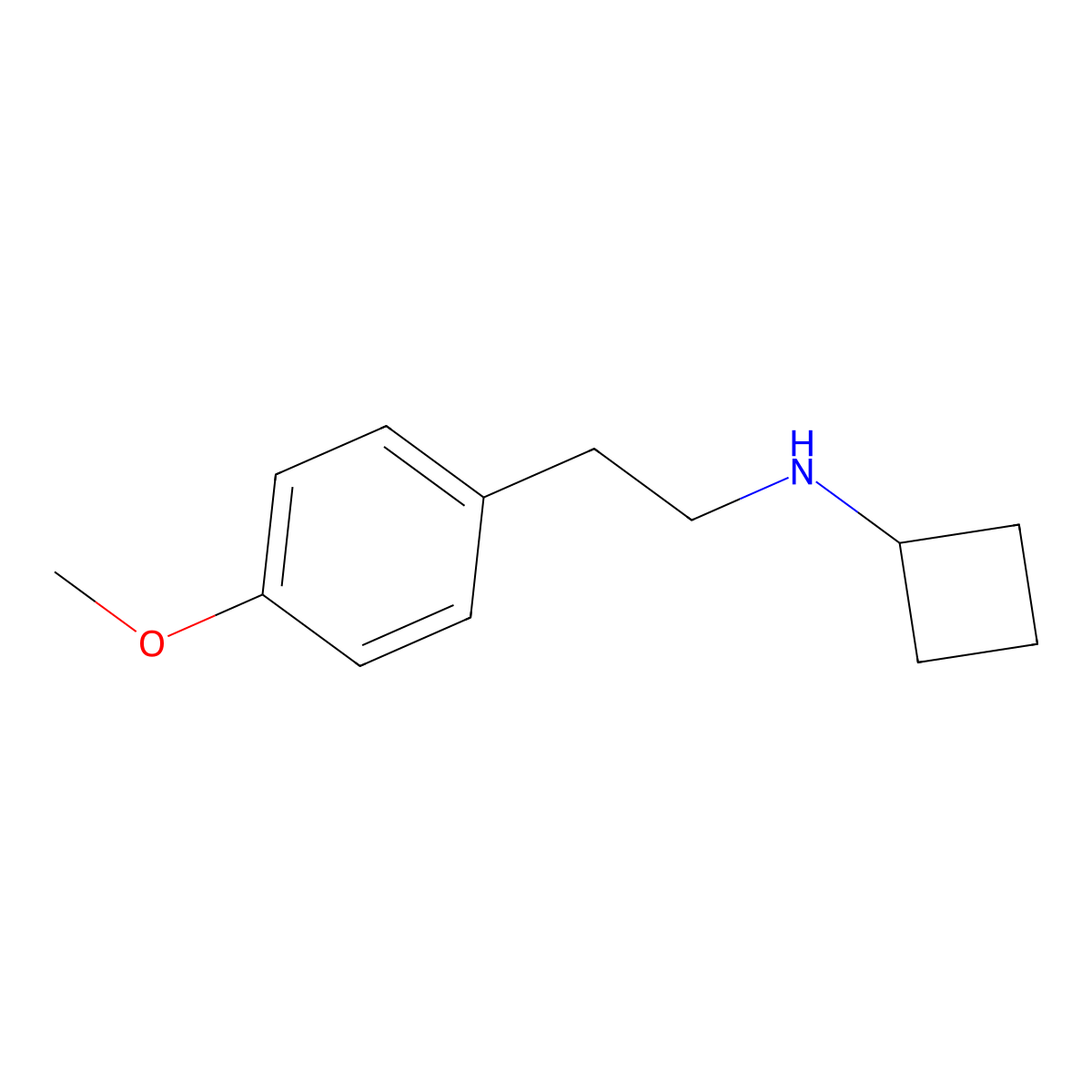 N-[2-(4-methoxyphenyl)ethyl]cyclobutanamine molecular structure, CAS 1249506-82-8