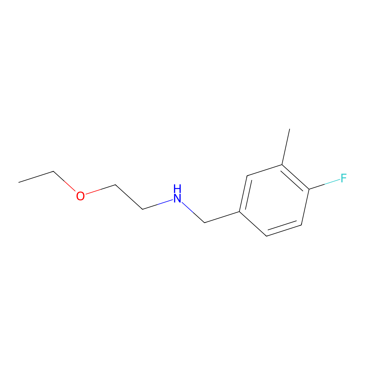 (2-Ethoxyethyl)[(4-fluoro-3-methylphenyl)methyl]amine molecular structure, CAS 1249614-19-4