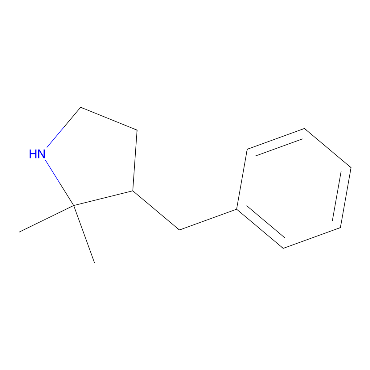 3-Benzyl-2,2-dimethylpyrrolidine molecular structure, CAS 1249614-40-1