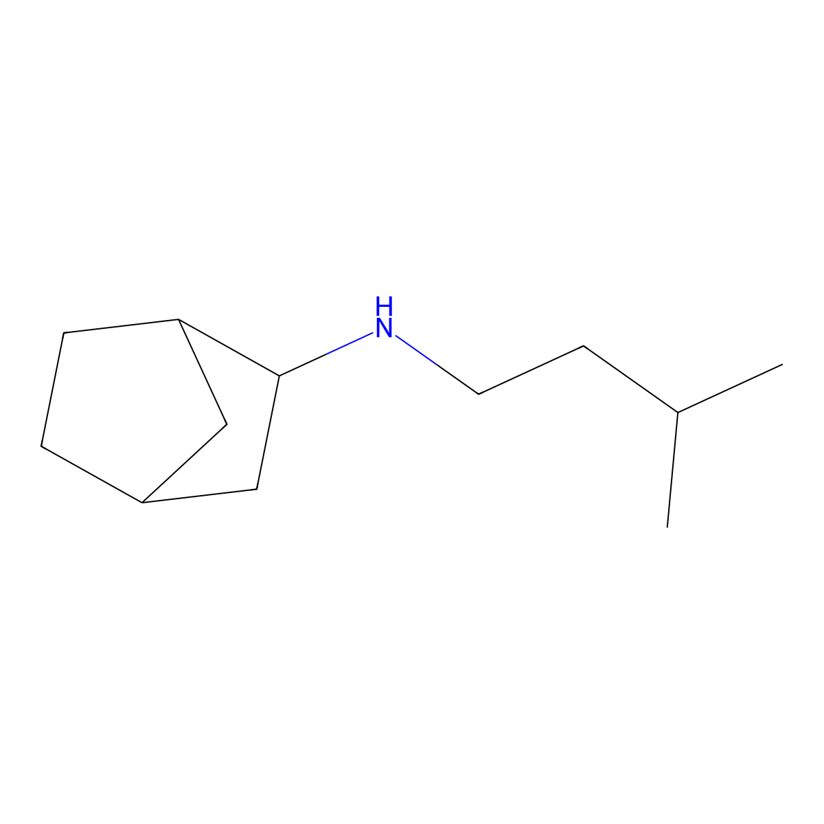 N-(3-methylbutyl)bicyclo[2.2.1]heptan-2-amine molecular structure, CAS 1249881-15-9