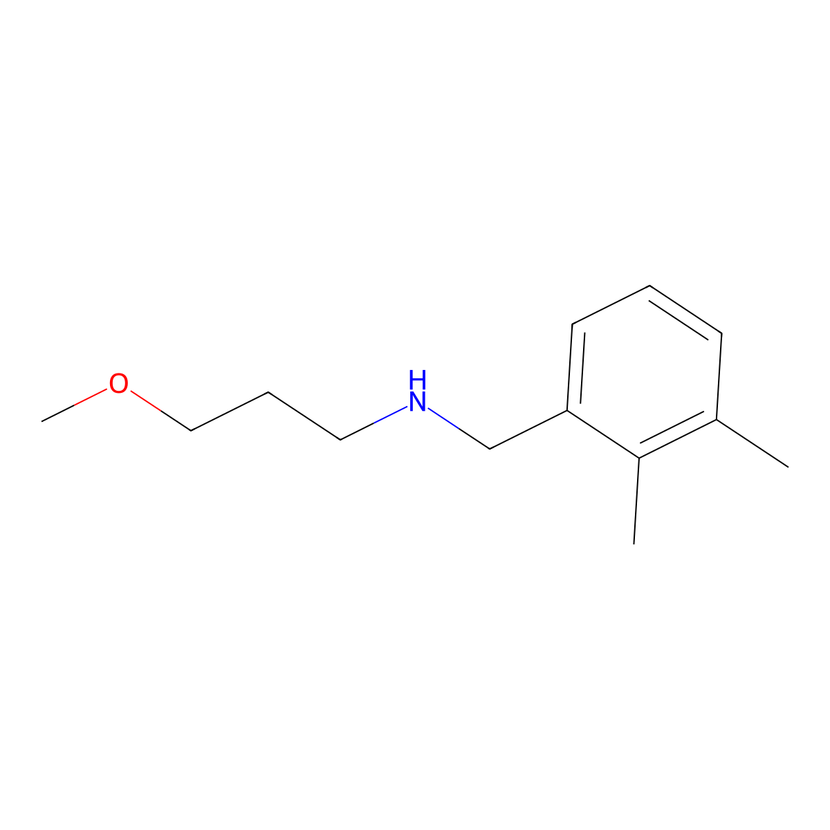 [(2,3-Dimethylphenyl)methyl](3-methoxypropyl)amine molecular structure, CAS 1249935-34-9