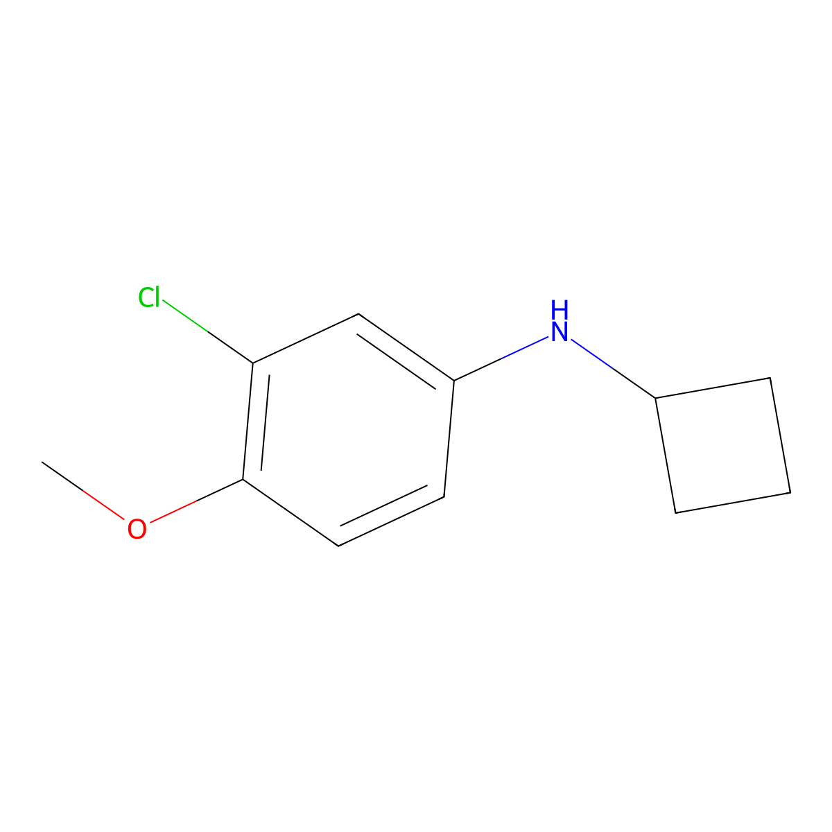 3-chloro-N-cyclobutyl-4-methoxyaniline molecular structure, CAS 1249989-12-5