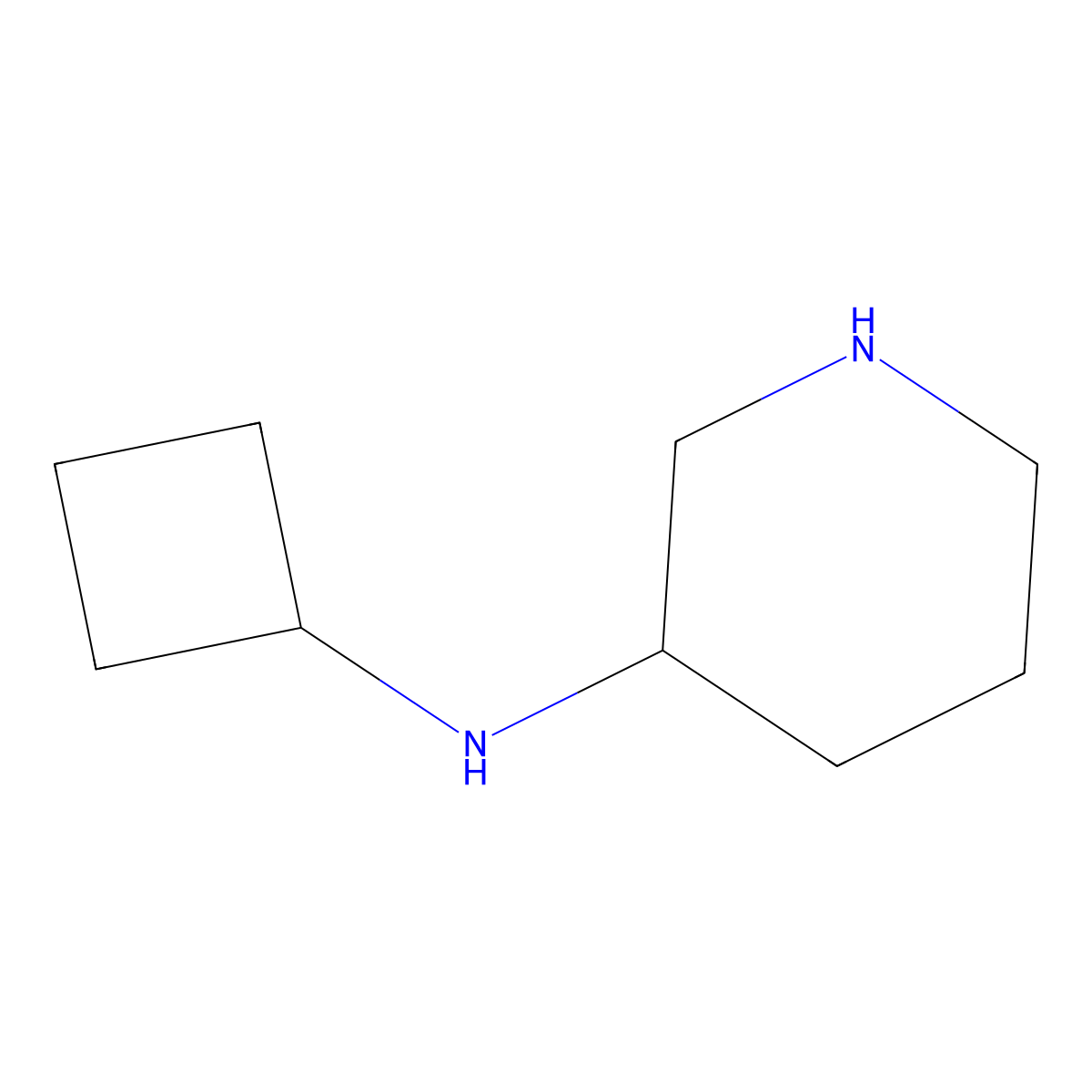 N-cyclobutylpiperidin-3-amine molecular structure, CAS 1250058-35-5