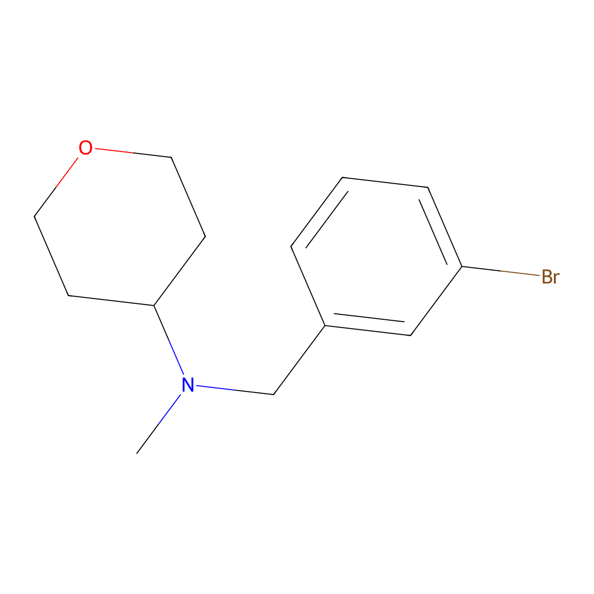 N-[(3-bromophenyl)methyl]-N-methyloxan-4-amine molecular structure, CAS 1250066-86-4