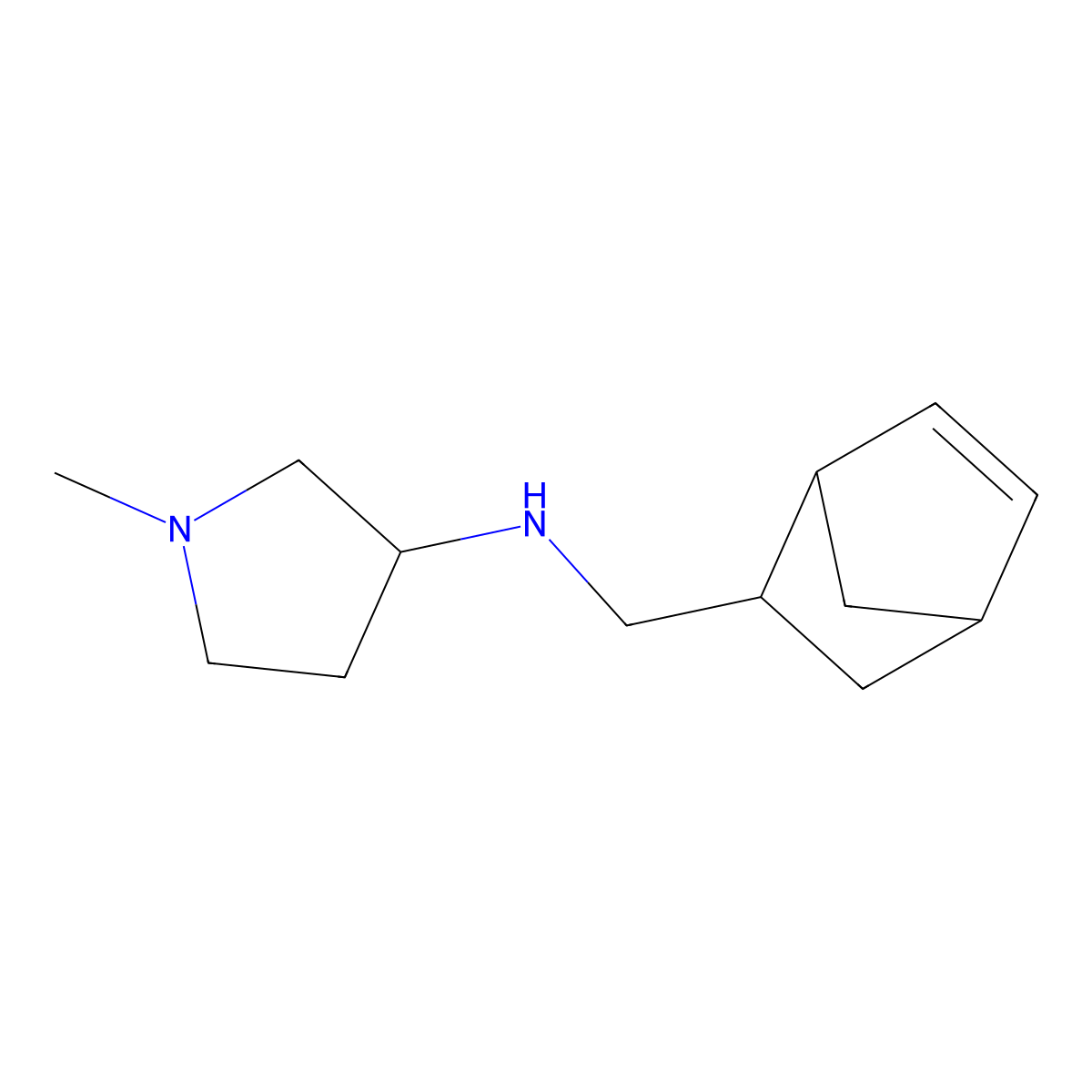 N-({bicyclo[2.2.1]hept-5-en-2-yl}methyl)-1-methylpyrrolidin-3-amine molecular structure, CAS 1250131-06-6