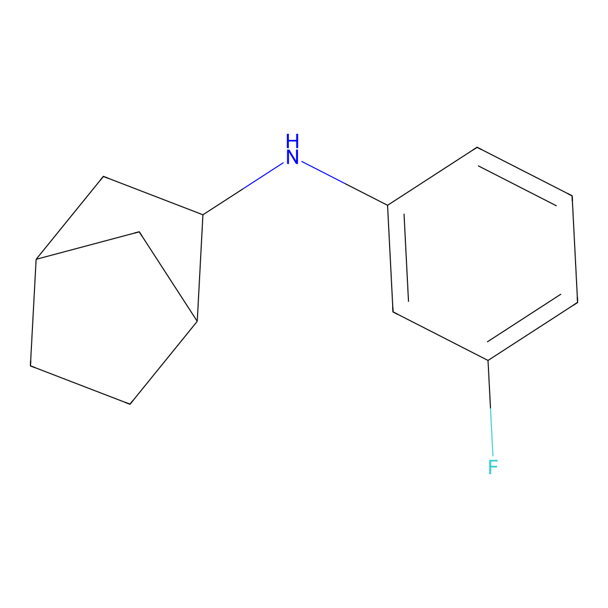 N-(3-Fluorophenyl)bicyclo[2.2.1]heptan-2-amine molecular structure, CAS 1250141-77-5