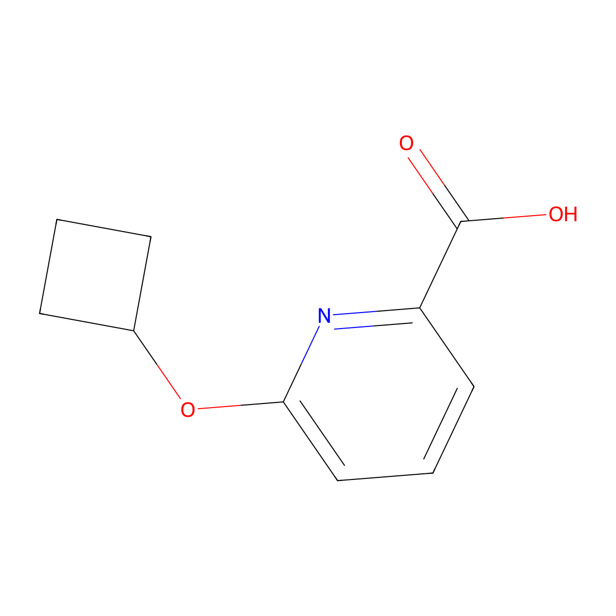6-Cyclobutoxypyridine-2-carboxylic acid molecular structure, CAS 1250298-25-9