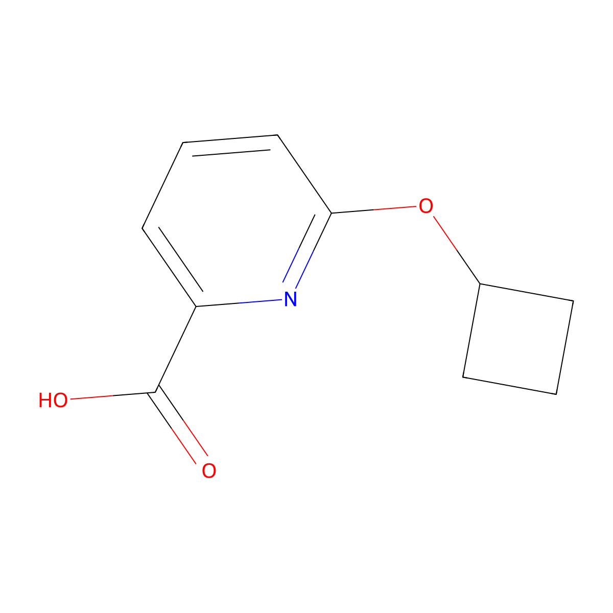 6-Cyclobutoxypyridine-2-carboxylic acid molecular structure, CAS 1250298-25-9