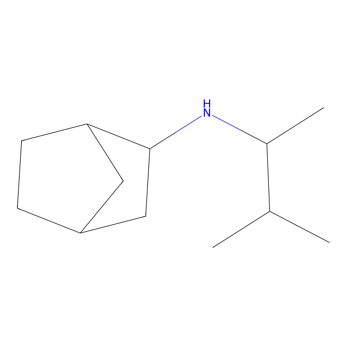 N-(3-methylbutan-2-yl)bicyclo[2.2.1]heptan-2-amine molecular structure, CAS 1250300-69-6