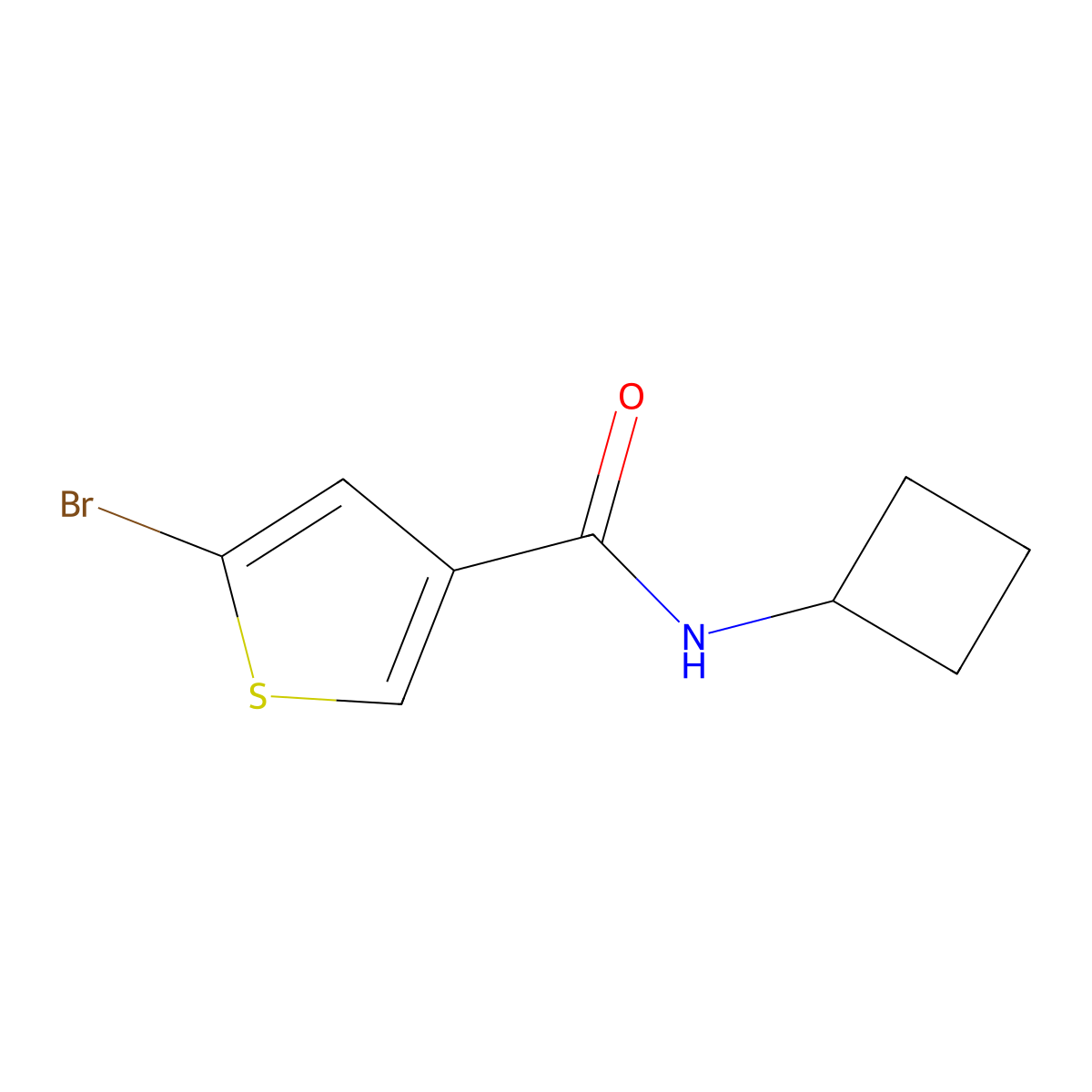 5-bromo-N-cyclobutylthiophene-3-carboxamide molecular structure, CAS 1250356-30-9