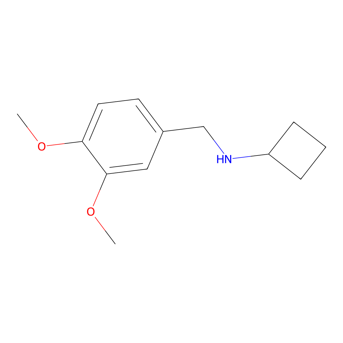 N-[(3,4-dimethoxyphenyl)methyl]cyclobutanamine molecular structure, CAS 1250397-85-3