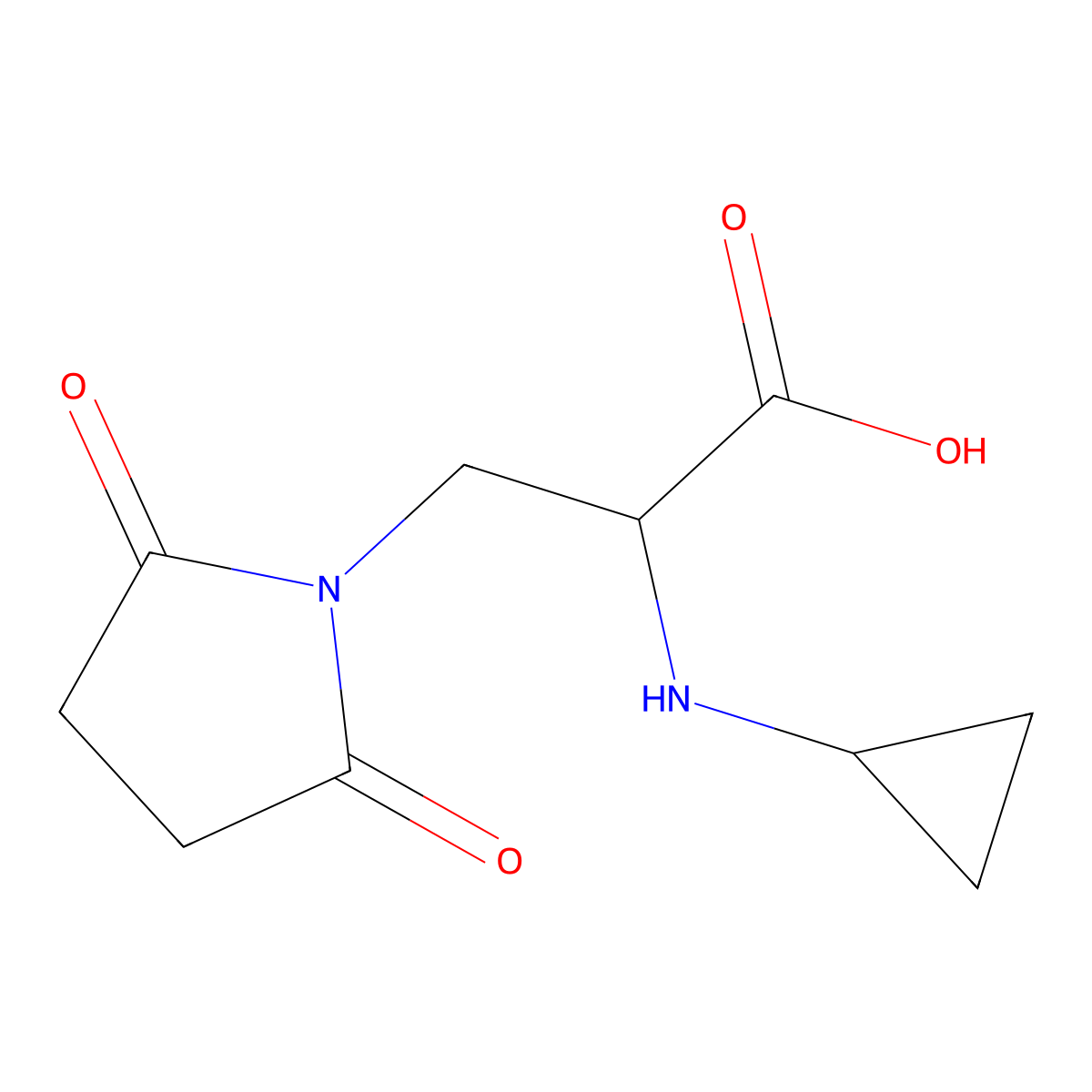 2-(Cyclopropylamino)-3-(2,5-dioxopyrrolidin-1-yl)propanoic acid molecular structure, CAS 1250431-08-3
