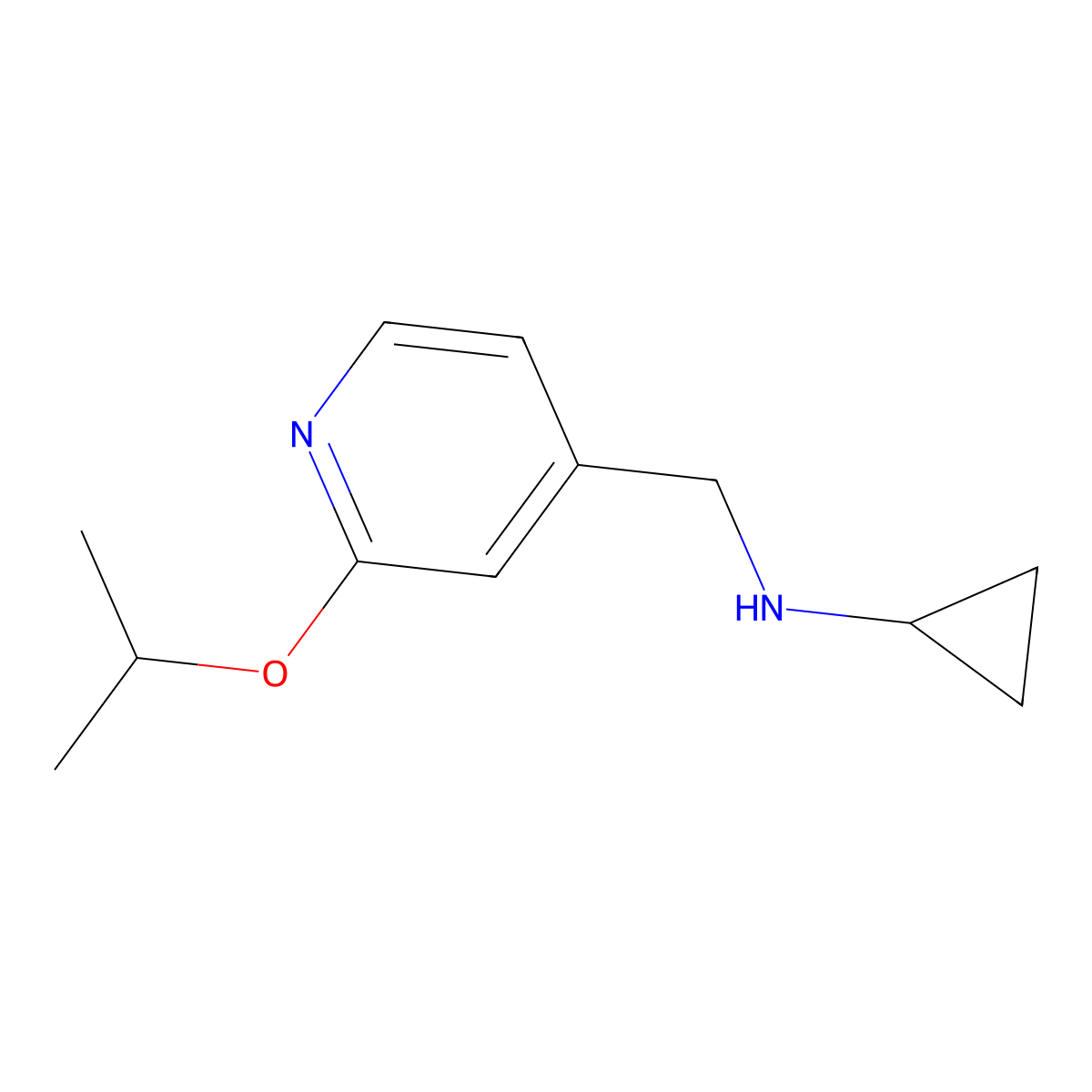 N-{[2-(propan-2-yloxy)pyridin-4-yl]methyl}cyclopropanamine molecular structure, CAS 1250524-34-5