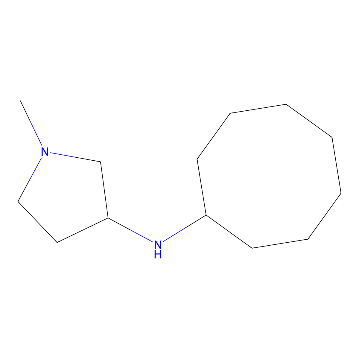 N-cyclooctyl-1-methylpyrrolidin-3-amine molecular structure, CAS 1250552-15-8