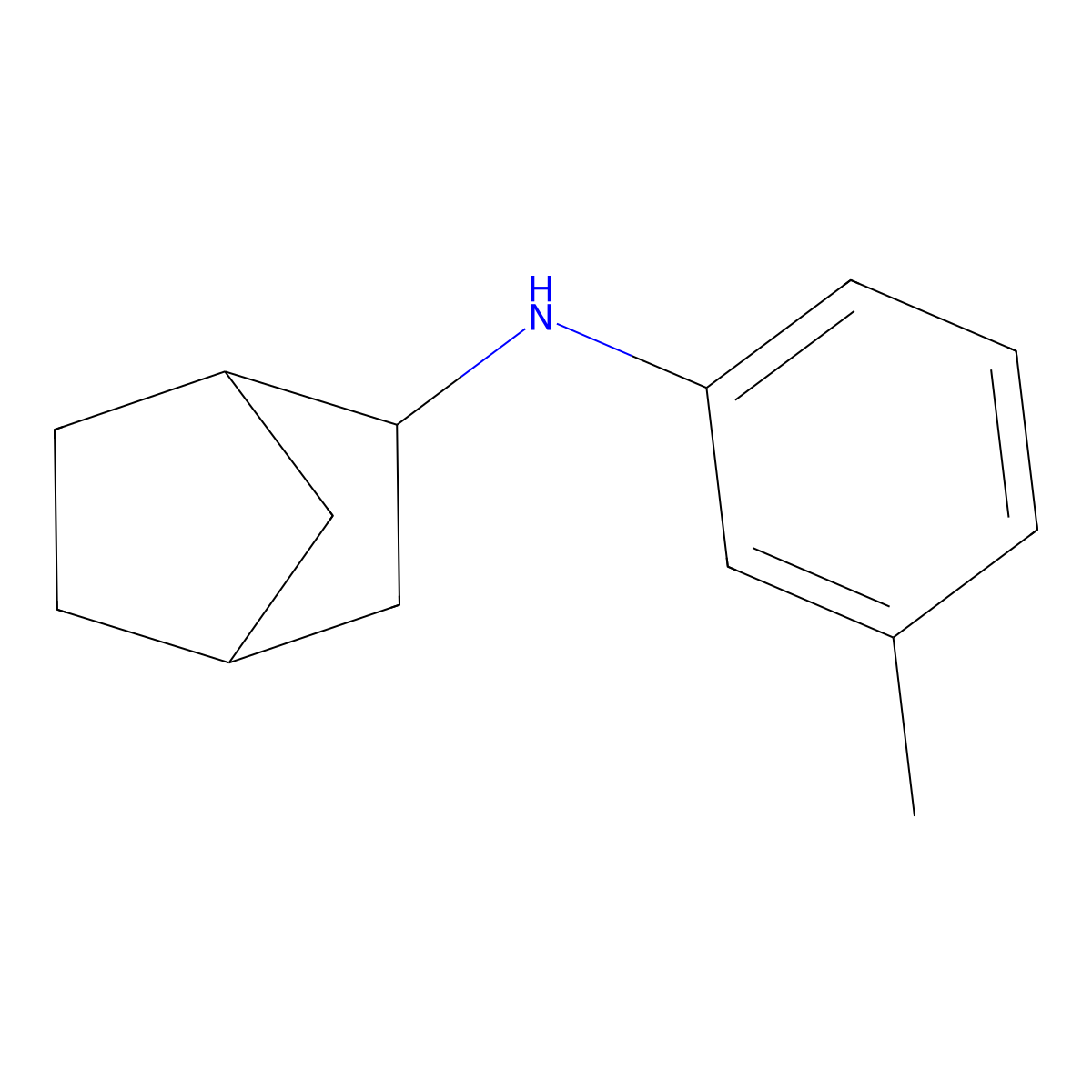 N-(3-Methylphenyl)bicyclo[2.2.1]heptan-2-amine molecular structure, CAS 1250577-69-5