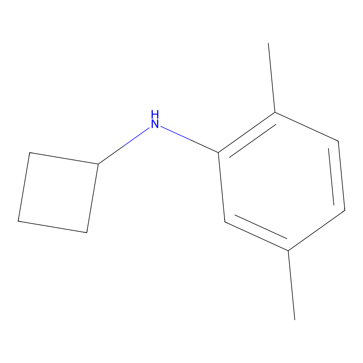 N-cyclobutyl-2,5-dimethylaniline molecular structure, CAS 1250615-09-8