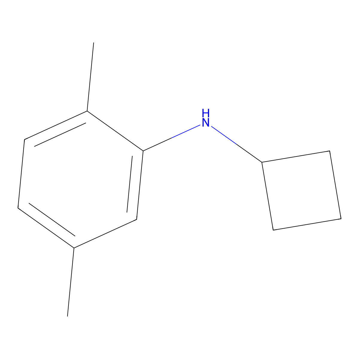 N-cyclobutyl-2,5-dimethylaniline molecular structure, CAS 1250615-09-8