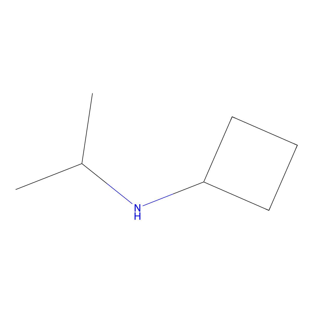 N-(propan-2-yl)cyclobutanamine molecular structure, CAS 1250638-67-5