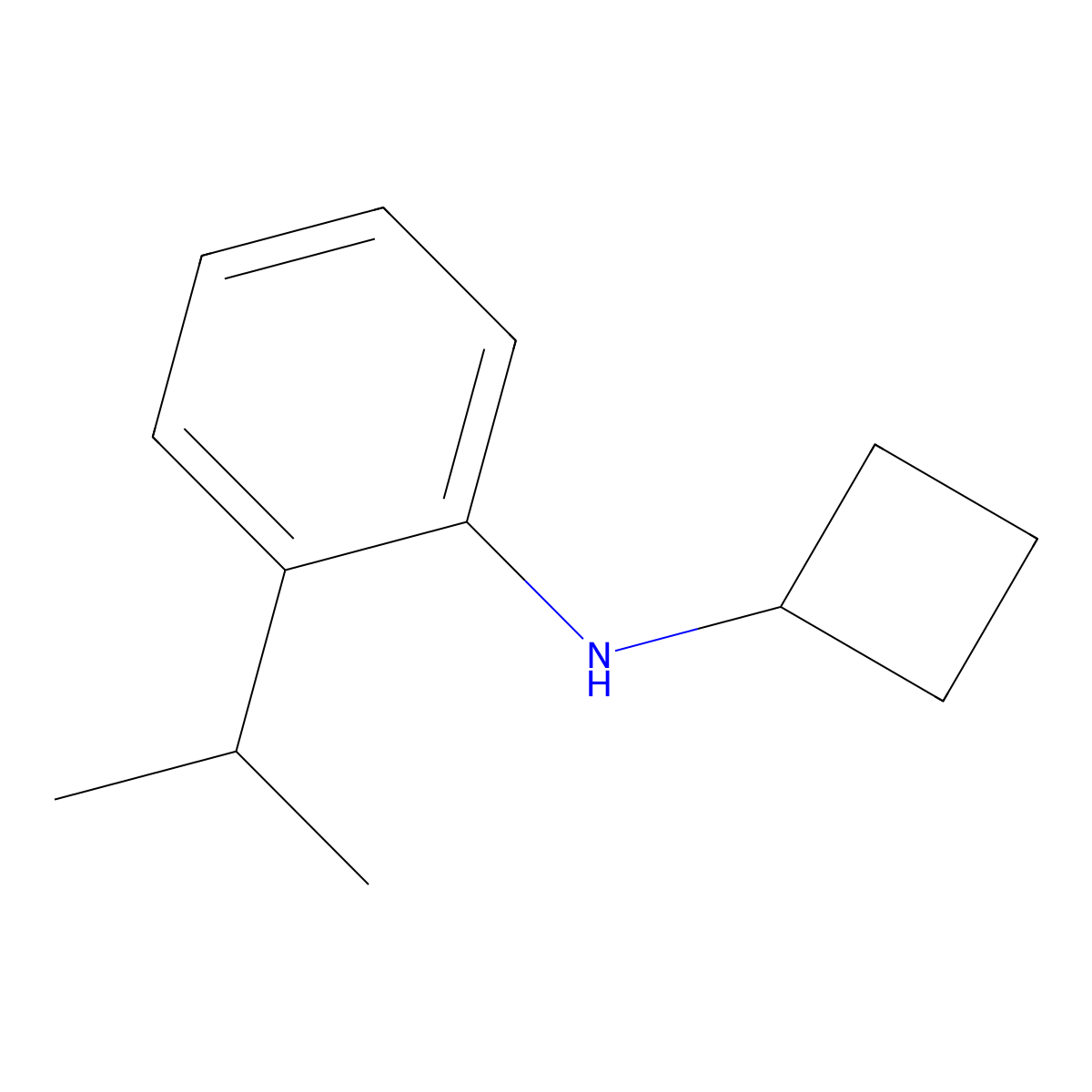 N-cyclobutyl-2-(propan-2-yl)aniline molecular structure, CAS 1250715-57-1