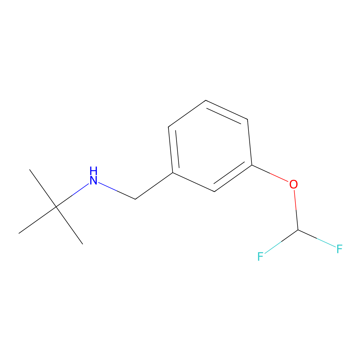 tert-Butyl-(3-difluoromethoxy-benzyl)-amine molecular structure, CAS 1250737-67-7