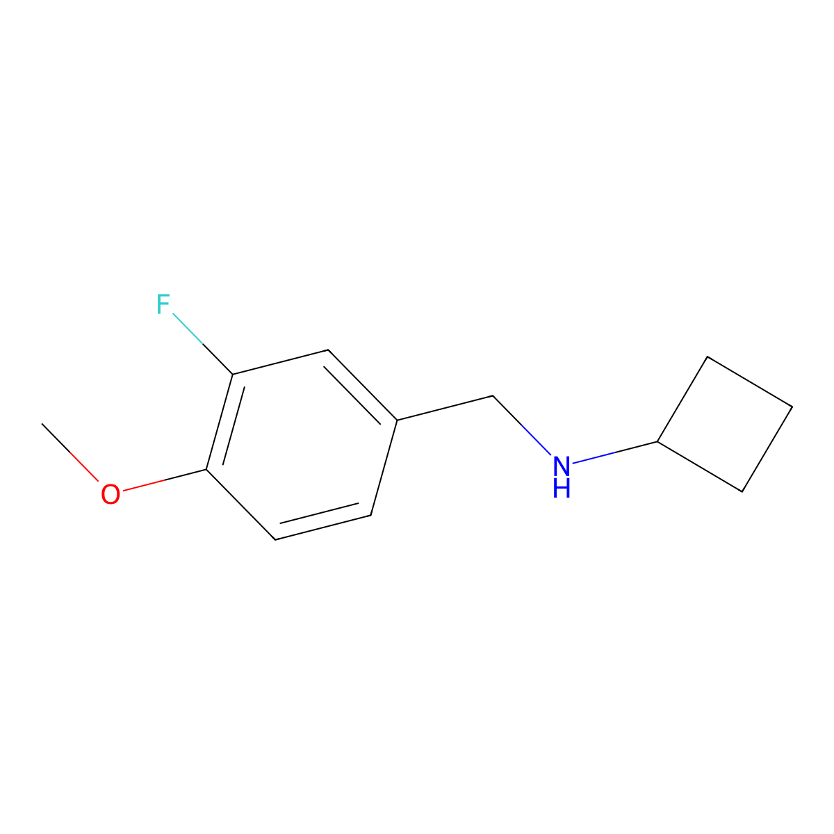 N-[(3-fluoro-4-methoxyphenyl)methyl]cyclobutanamine molecular structure, CAS 1250933-85-7