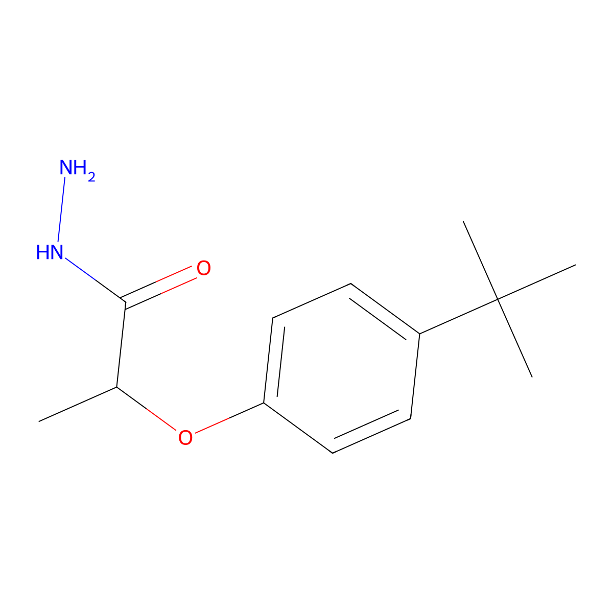 2-(4-Tert-butylphenoxy)propanohydrazide molecular structure, CAS 125096-56-2
