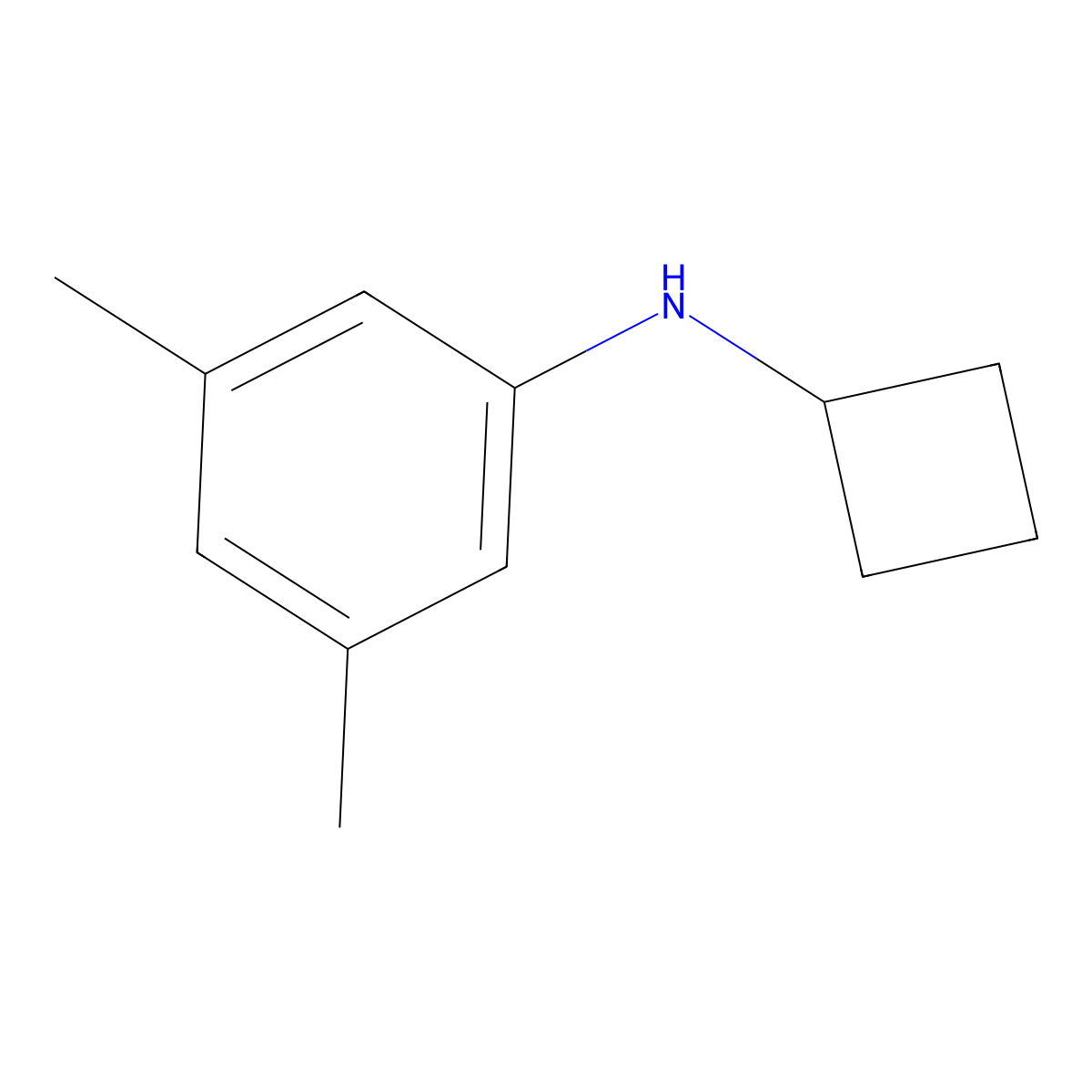 N-cyclobutyl-3,5-dimethylaniline molecular structure, CAS 1250973-03-5