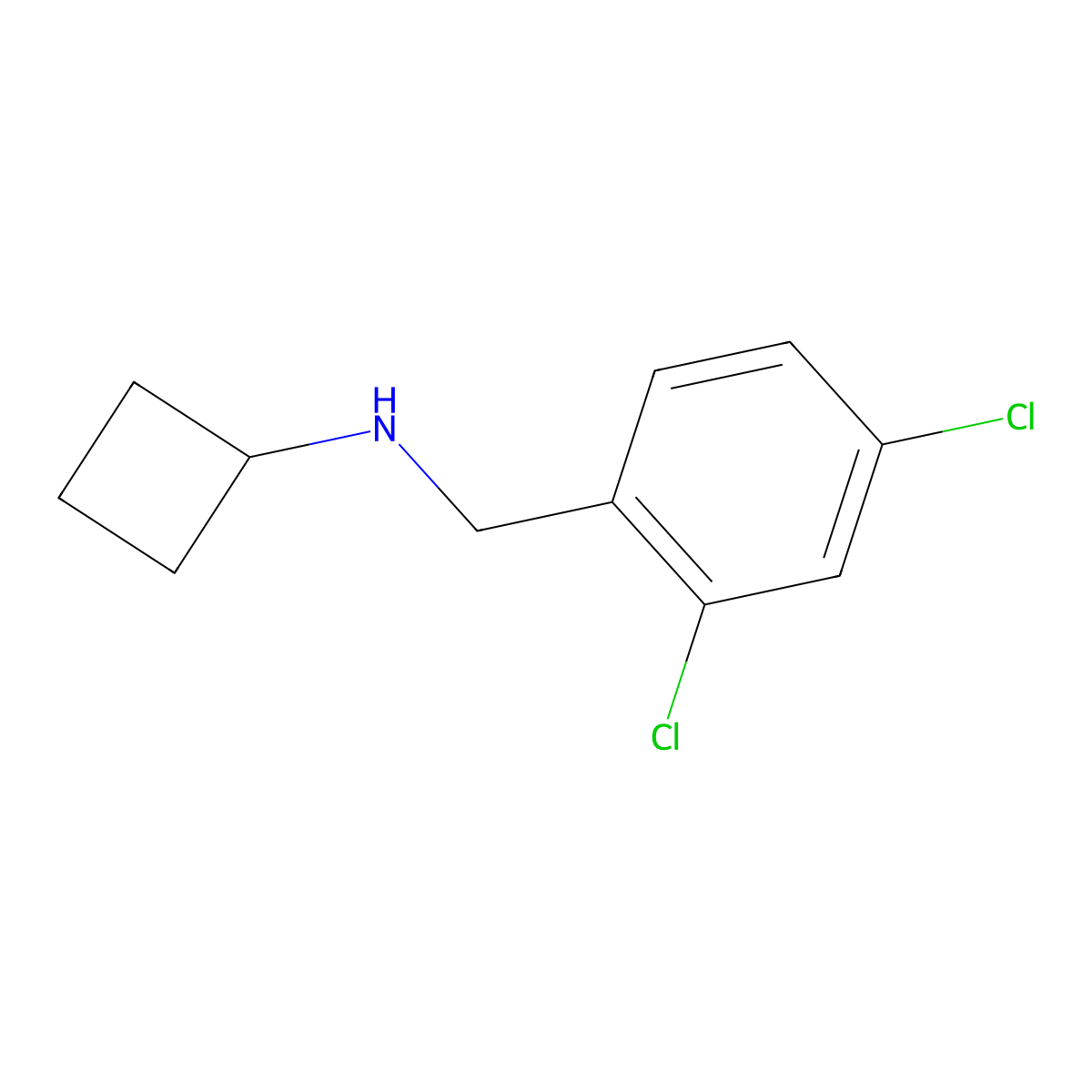 N-[(2,4-dichlorophenyl)methyl]cyclobutanamine molecular structure, CAS 1251026-75-1