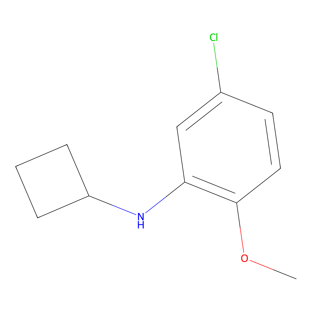 5-chloro-N-cyclobutyl-2-methoxyaniline molecular structure, CAS 1251095-65-4