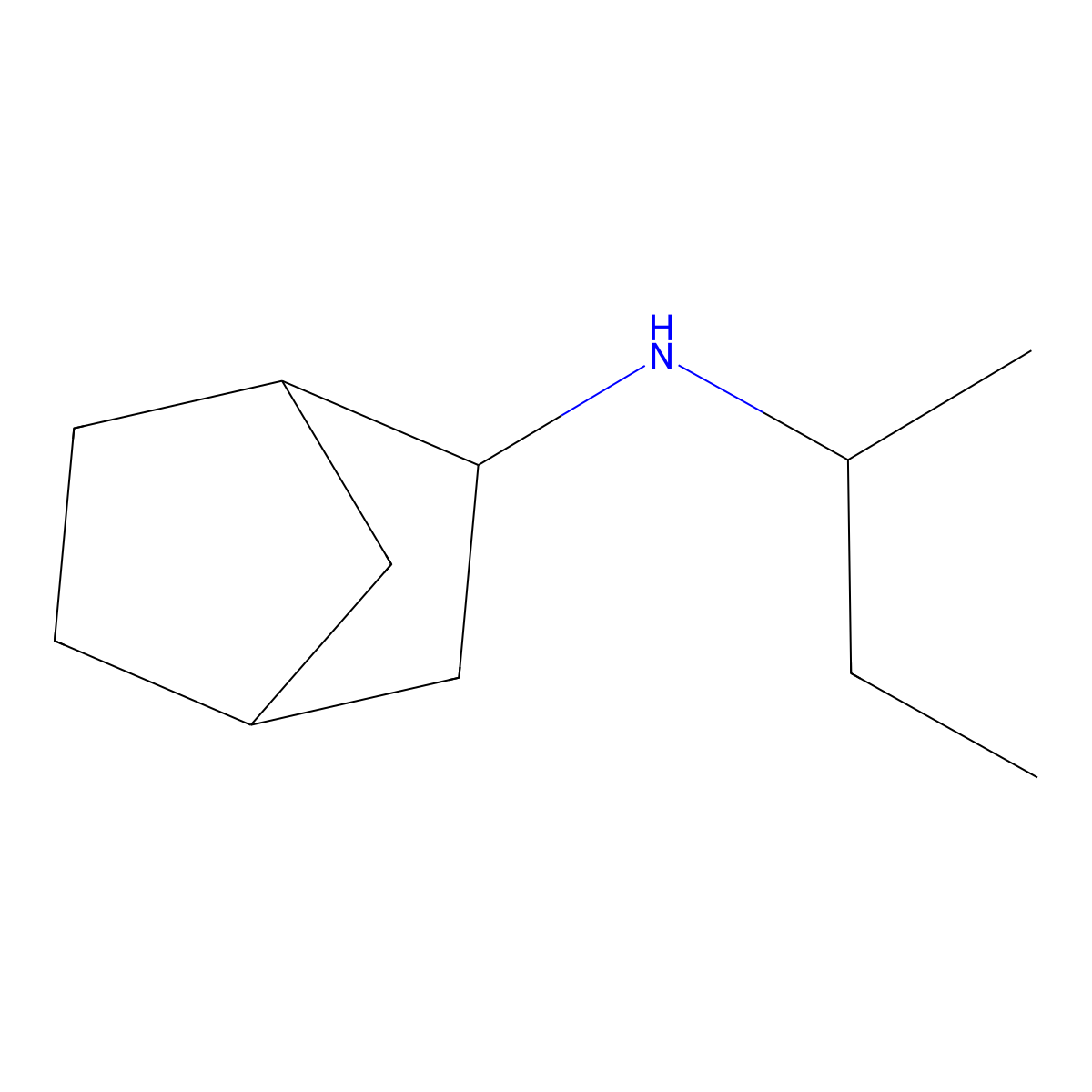 N-(butan-2-yl)bicyclo[2.2.1]heptan-2-amine molecular structure, CAS 1251128-70-7
