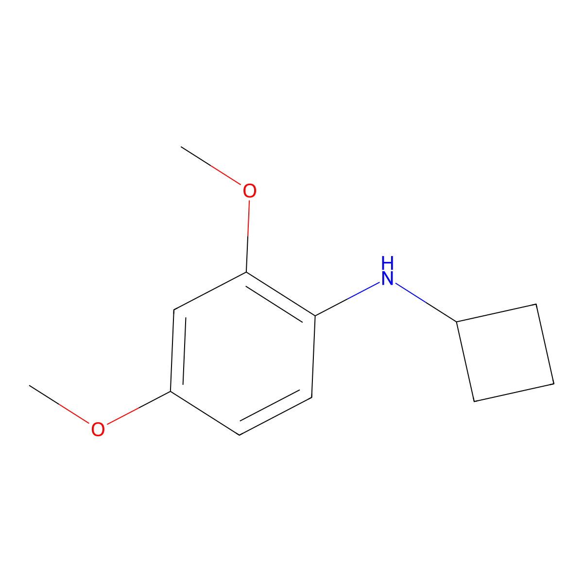 N-cyclobutyl-2,4-dimethoxyaniline molecular structure, CAS 1251158-65-2