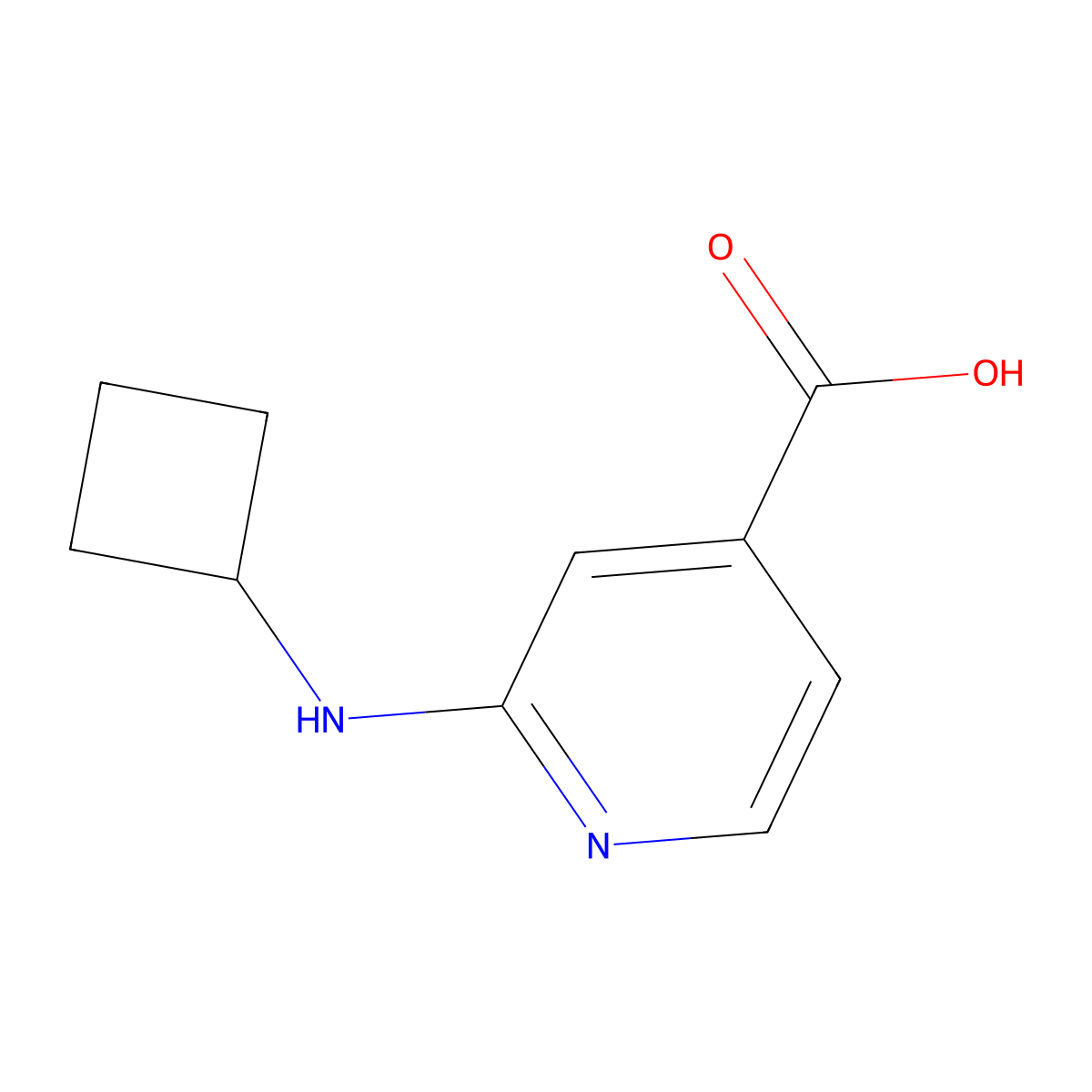 2-(Cyclobutylamino)isonicotinic acid molecular structure, CAS 1251225-65-6