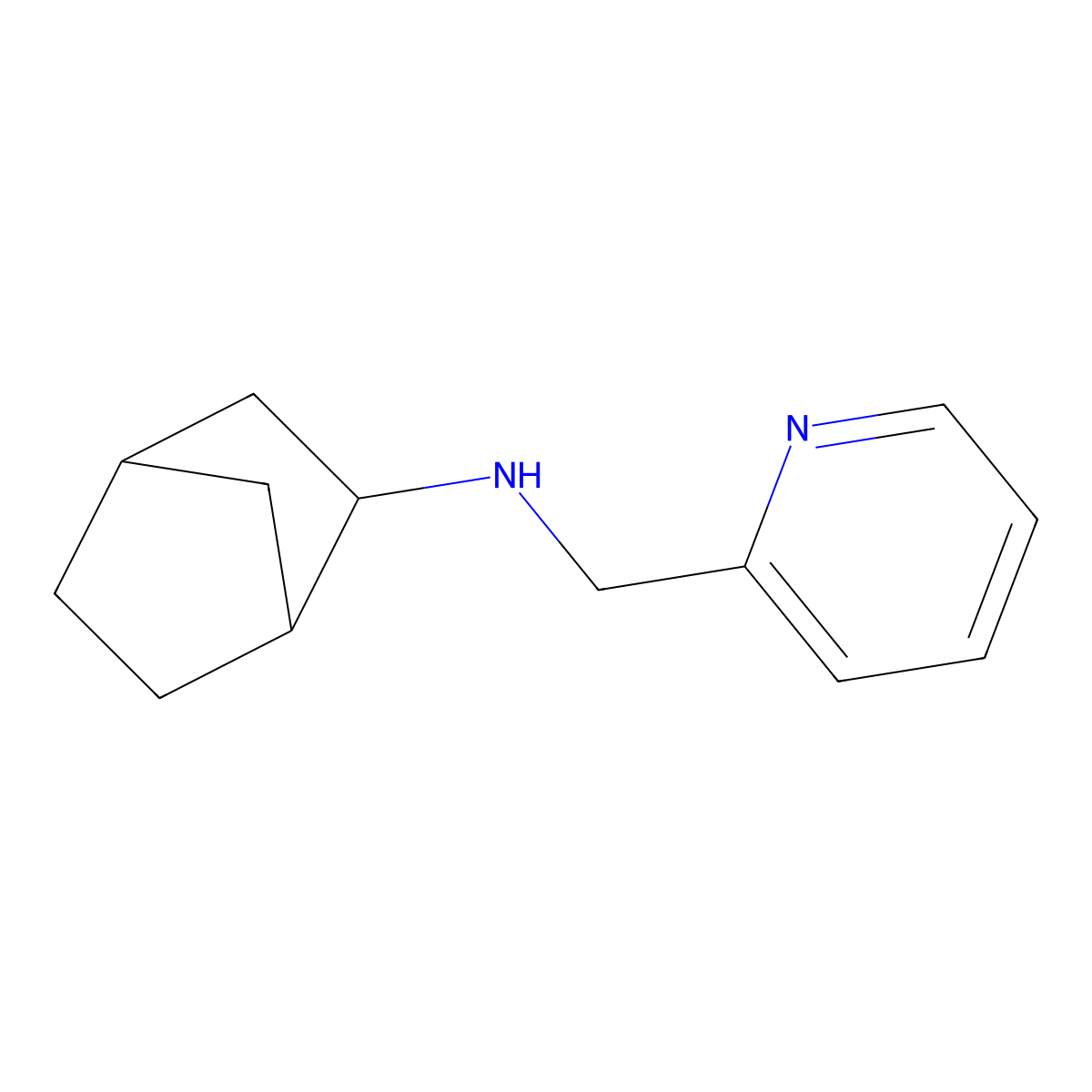 N-(Pyridin-2-ylmethyl)bicyclo[2.2.1]heptan-2-amine molecular structure, CAS 1251247-94-5