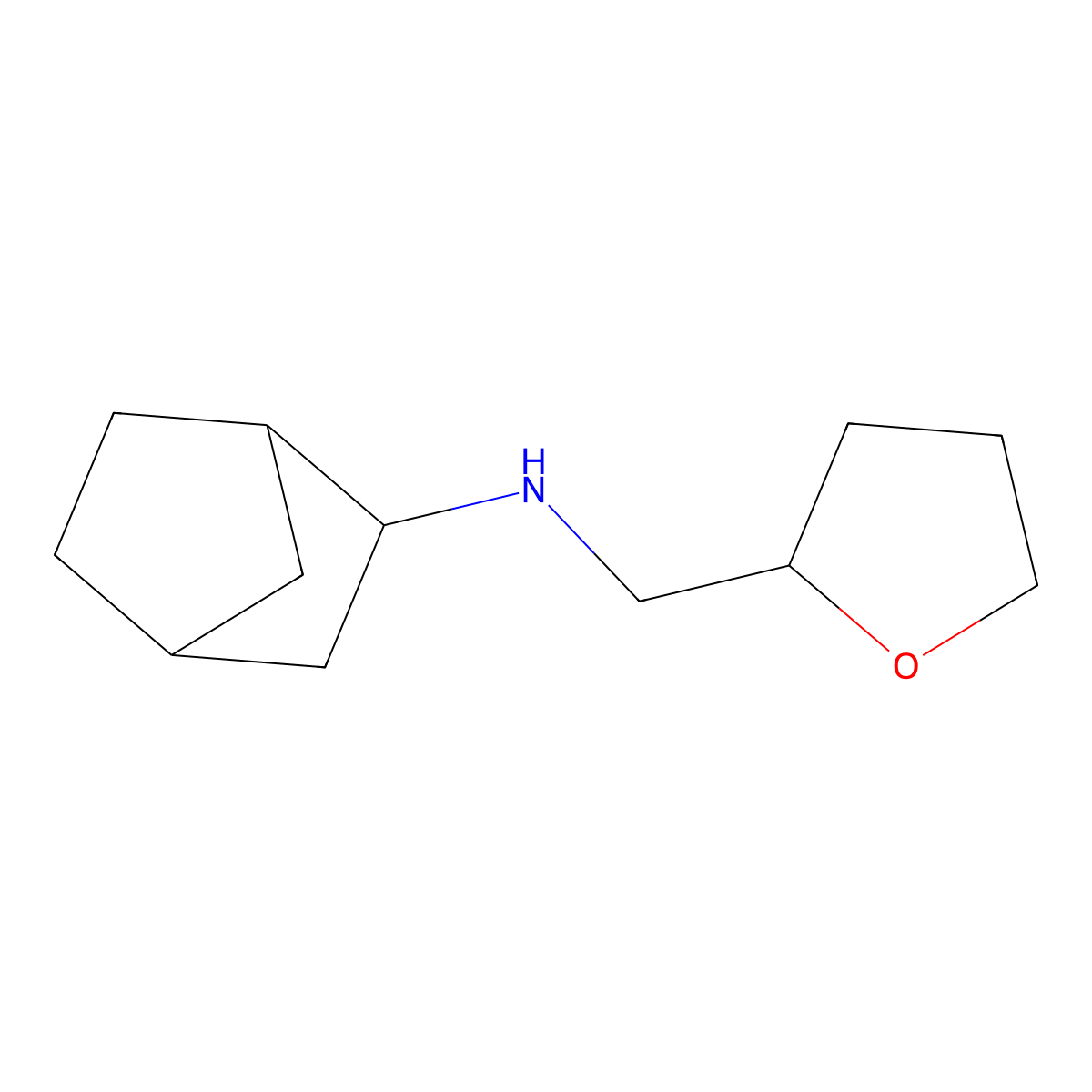 N-[(oxolan-2-yl)methyl]bicyclo[2.2.1]heptan-2-amine molecular structure, CAS 1251270-43-5