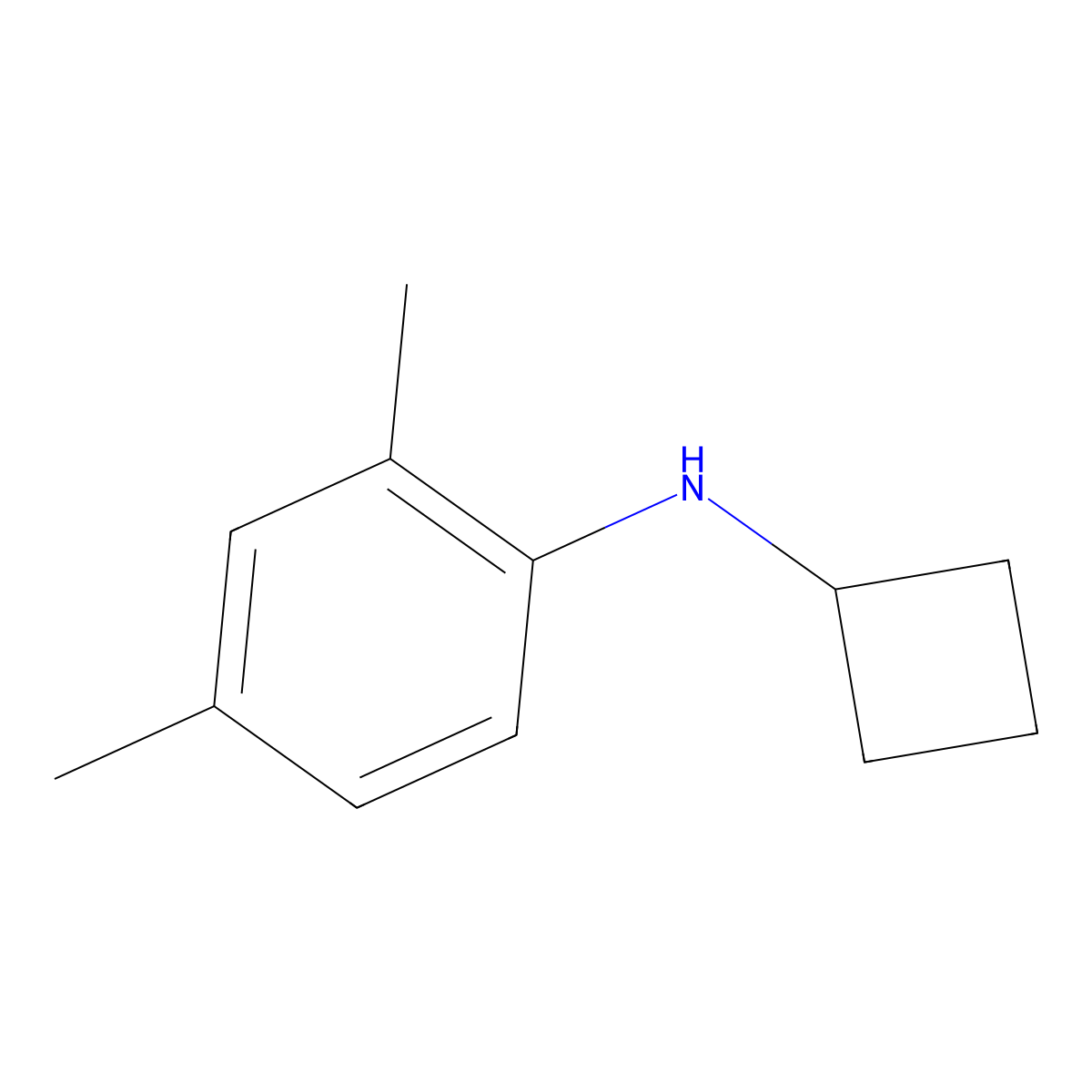 N-cyclobutyl-2,4-dimethylaniline molecular structure, CAS 1251278-02-0
