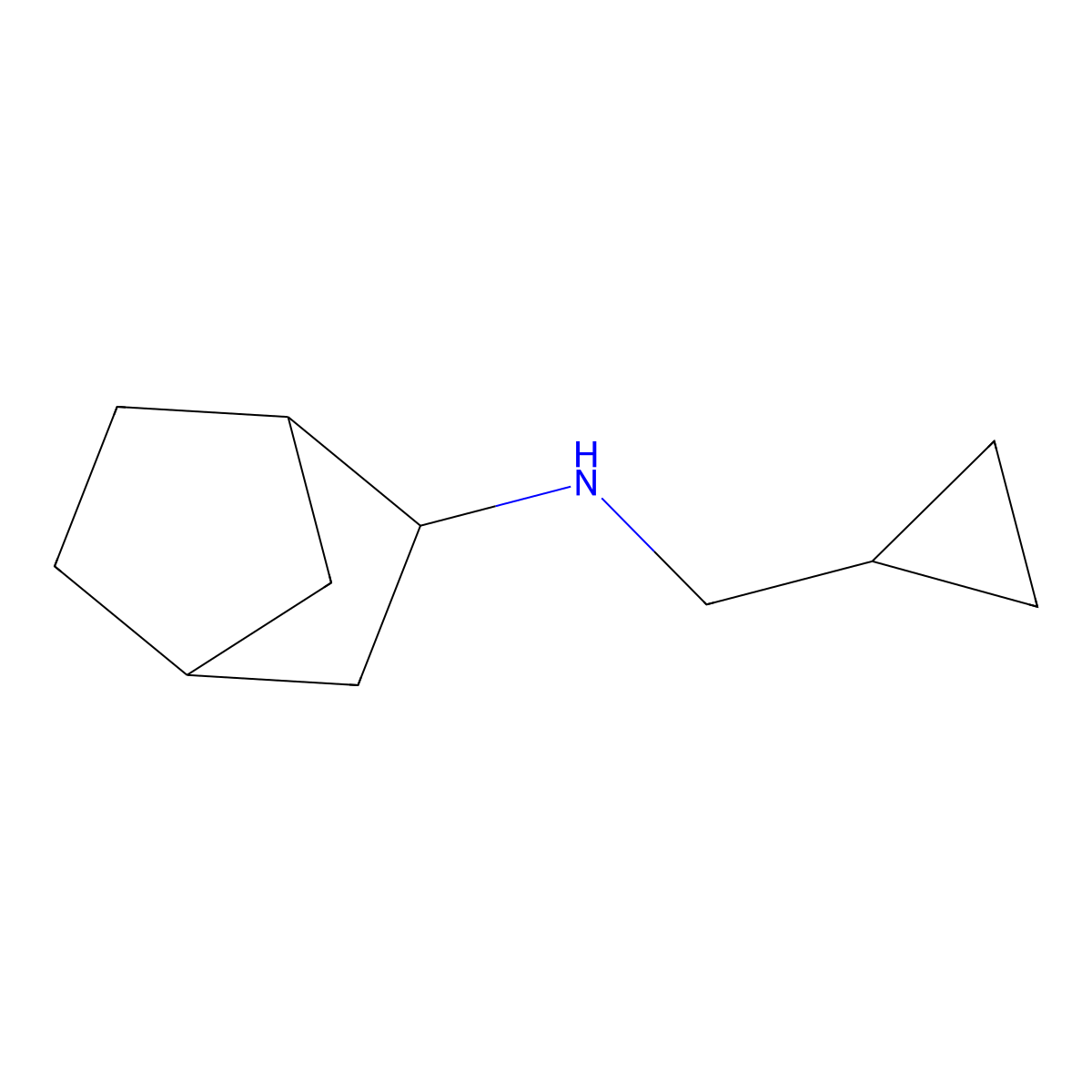 N-(cyclopropylmethyl)bicyclo[2.2.1]heptan-2-amine molecular structure, CAS 1251337-76-4