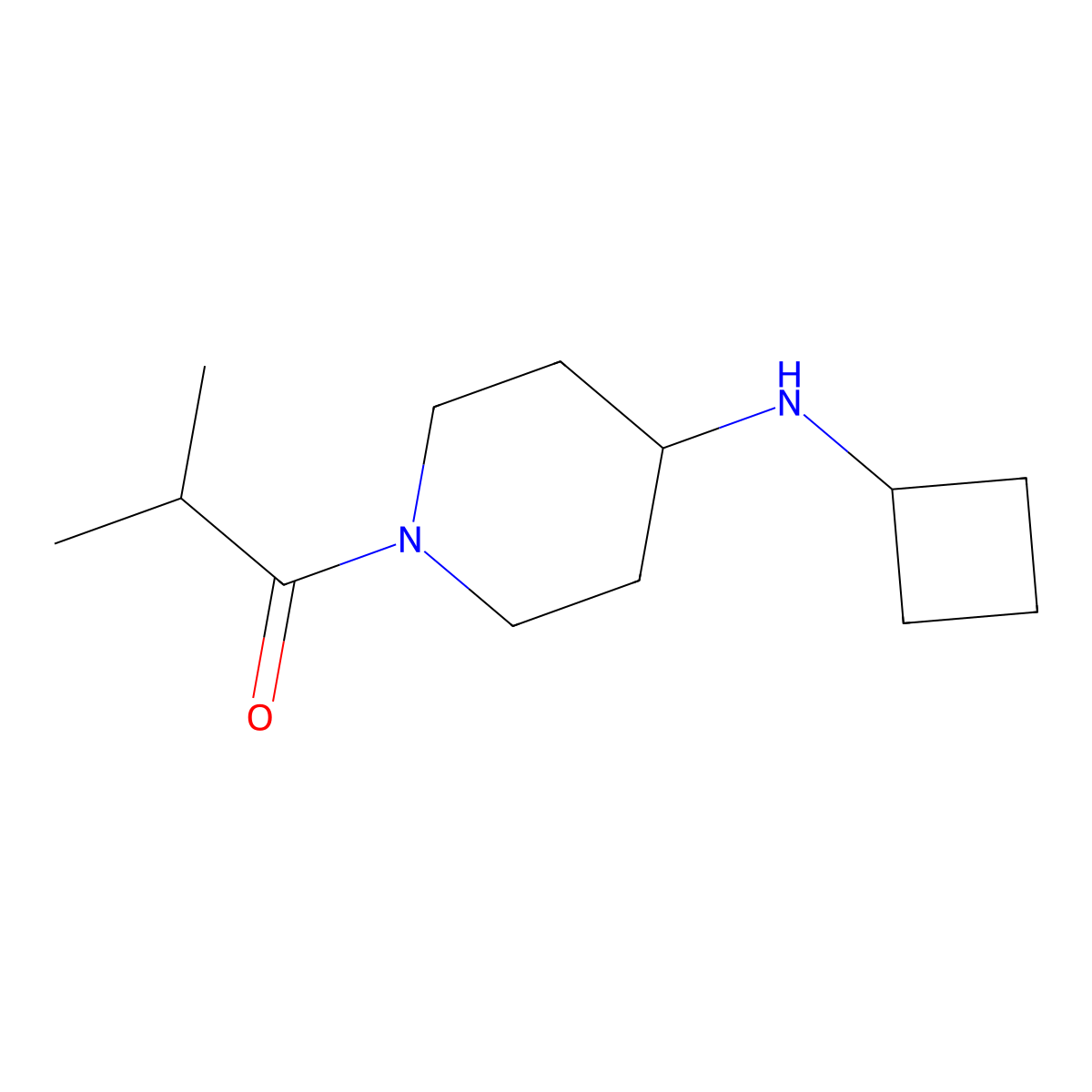 1-[4-(Cyclobutylamino)piperidin-1-yl]-2-methylpropan-1-one molecular structure, CAS 1251340-57-4