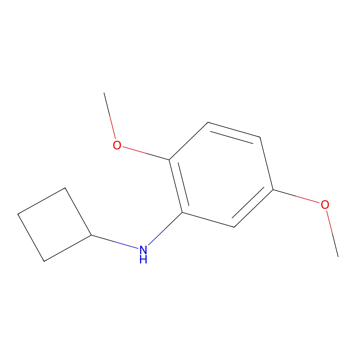 N-cyclobutyl-2,5-dimethoxyaniline molecular structure, CAS 1251360-64-1