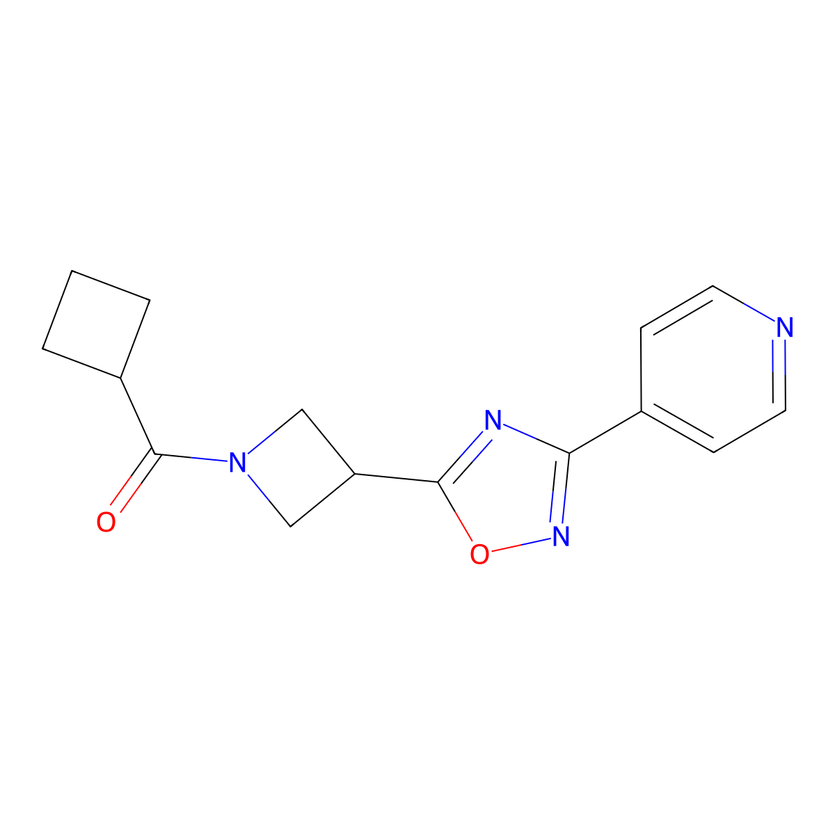 Cyclobutyl(3-(3-(pyridin-4-yl)-1,2,4-oxadiazol-5-yl)azetidin-1-yl)methanone molecular structure, CAS 1251562-68-1