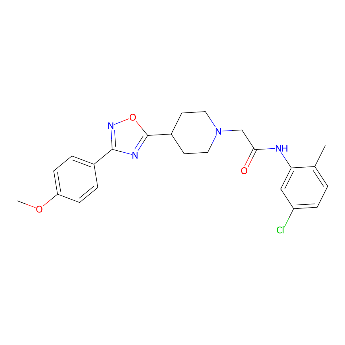 N-(5-chloro-2-methylphenyl)-2-{4-[3-(4-methoxyphenyl)-1,2,4-oxadiazol-5-yl]piperidin-1-yl}acetamide molecular structure, CAS 1251643-97-6