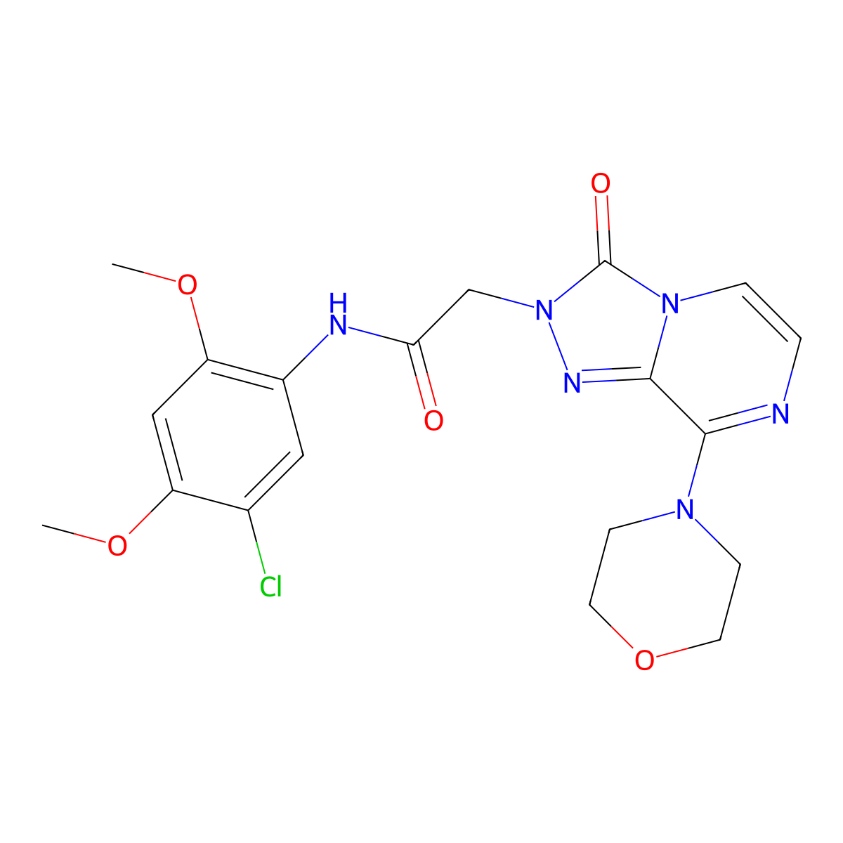 N-(5-chloro-2,4-dimethoxyphenyl)-2-(8-morpholino-3-oxo-[1,2,4]triazolo[4,3-a]pyrazin-2(3H)-yl)acetamide molecular structure, CAS 1251660-91-9