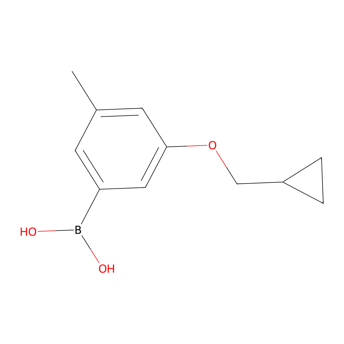 (3-(Cyclopropylmethoxy)-5-methylphenyl)boronic acid molecular structure, CAS 1256345-78-4