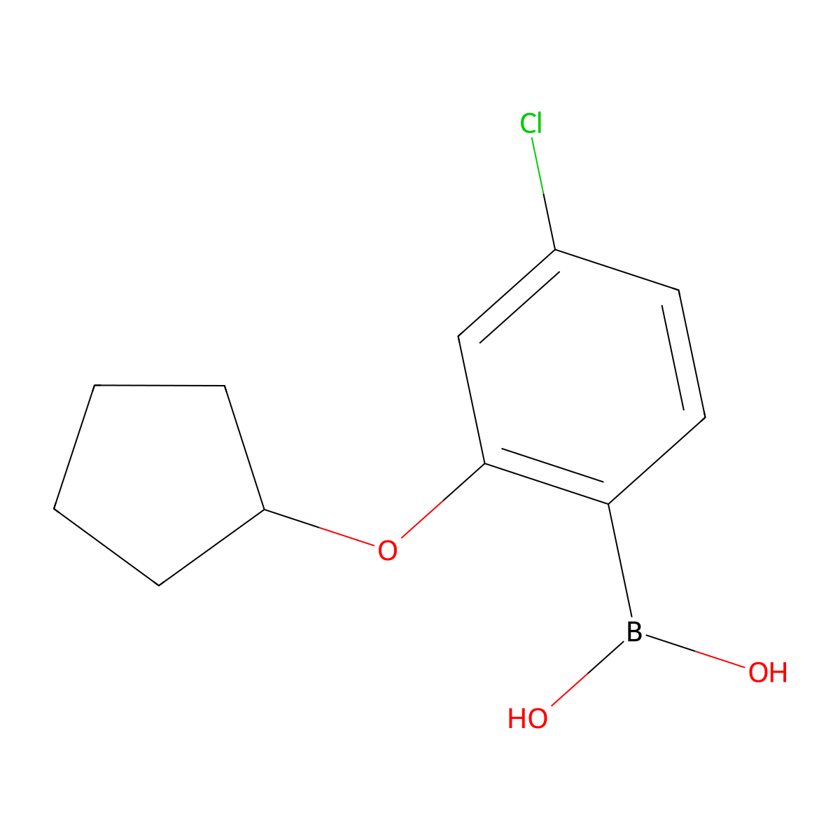 (4-Chloro-2-(cyclopentyloxy)phenyl)boronic acid molecular structure, CAS 1256355-05-1