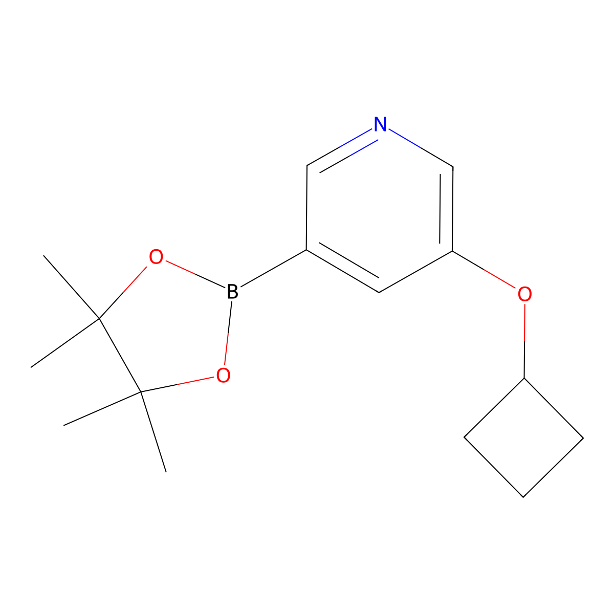 3-Cyclobutoxy-5-(4,4,5,5-tetramethyl-[1,3,2]dioxaborolan-2-yl)-pyridine molecular structure, CAS 1257553-86-8